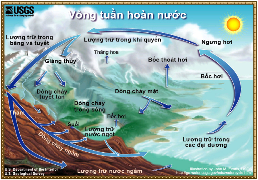 Hình 7: Vòng tuần hoàn của nước